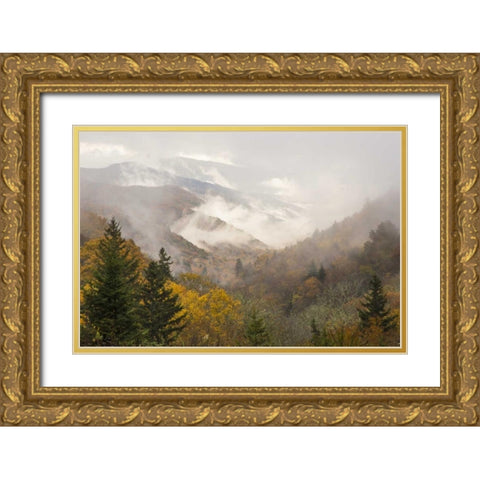 North Carolina, Great Smoky Mts Autumn landscape Gold Ornate Wood Framed Art Print with Double Matting by Paulson, Don