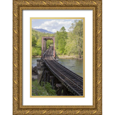 North Carolina Abandoned railroad trestle Gold Ornate Wood Framed Art Print with Double Matting by Grall, Don