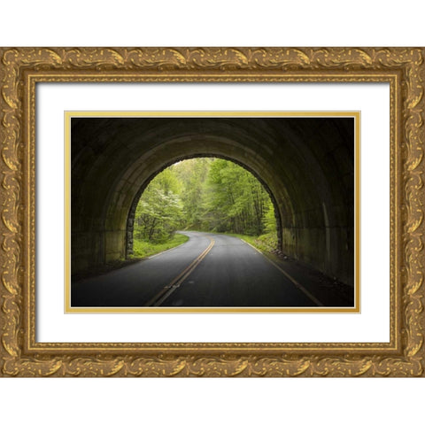 North Carolina Tunnel on the Blue Ridge Parkway Gold Ornate Wood Framed Art Print with Double Matting by Grall, Don