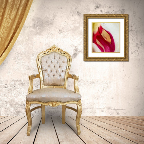 Ohio Tulip flower colors and rain drop Gold Ornate Wood Framed Art Print with Double Matting by Rotenberg, Nancy