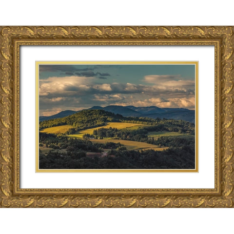 View of Columbia plateau at sunset-Oregon Gold Ornate Wood Framed Art Print with Double Matting by Jones, Adam