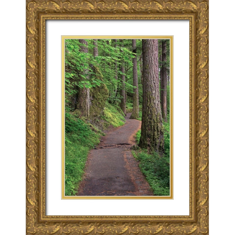 Paved pathway through forest-Columbia River Gorge-Oregon Gold Ornate Wood Framed Art Print with Double Matting by Jones, Adam