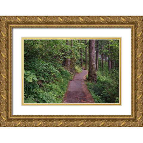 Paved pathway through forest-Columbia River Gorge-Oregon Gold Ornate Wood Framed Art Print with Double Matting by Jones, Adam