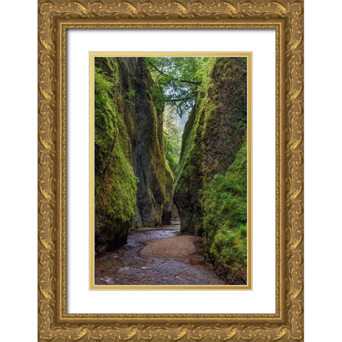 View from bottom of Oneonta Gorge-Columbia River Gorge National Scenic Area-Oregon Gold Ornate Wood Framed Art Print with Double Matting by Jones, Adam