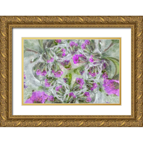 Doves Foot Geranium-Geranium molle-Columbia River Gorge-Oregon Gold Ornate Wood Framed Art Print with Double Matting by Jones, Adam