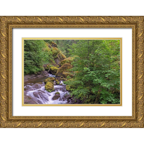 Tanner Creek-Columbia River Gorge-Oregon Gold Ornate Wood Framed Art Print with Double Matting by Jones, Adam