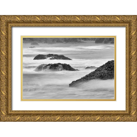 Waves crashing on rocks-Bandon Beach-Oregon Gold Ornate Wood Framed Art Print with Double Matting by Jones, Adam
