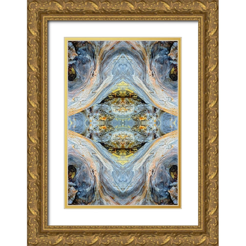 Abstract pattern in driftwood-Bandon Beach-Oregon Gold Ornate Wood Framed Art Print with Double Matting by Jones, Adam