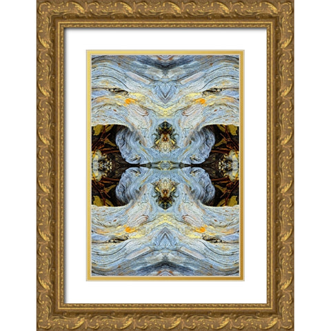 Abstract pattern in driftwood-Bandon Beach-Oregon Gold Ornate Wood Framed Art Print with Double Matting by Jones, Adam