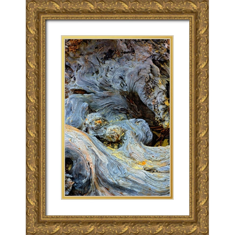 Abstract pattern in driftwood-Bandon Beach-Oregon Gold Ornate Wood Framed Art Print with Double Matting by Jones, Adam