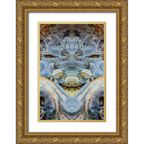 Abstract pattern in driftwood-Bandon Beach-Oregon Gold Ornate Wood Framed Art Print with Double Matting by Jones, Adam