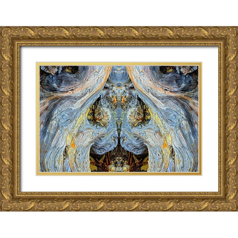 Abstract pattern in driftwood-Bandon Beach-Oregon Gold Ornate Wood Framed Art Print with Double Matting by Jones, Adam