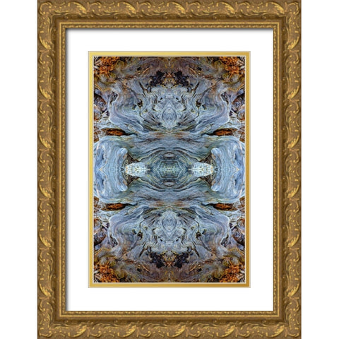 Abstract pattern in driftwood-Bandon Beach-Oregon Gold Ornate Wood Framed Art Print with Double Matting by Jones, Adam