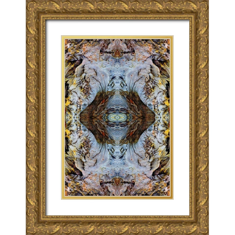 Abstract pattern in driftwood-Bandon Beach-Oregon Gold Ornate Wood Framed Art Print with Double Matting by Jones, Adam
