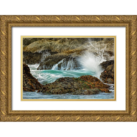 Surf crashing on rocks-Bandon Beach-Oregon Gold Ornate Wood Framed Art Print with Double Matting by Jones, Adam