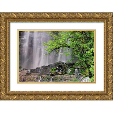 Silver Falls-Golden and Silver Falls State Natural Area-Oregon Gold Ornate Wood Framed Art Print with Double Matting by Jones, Adam