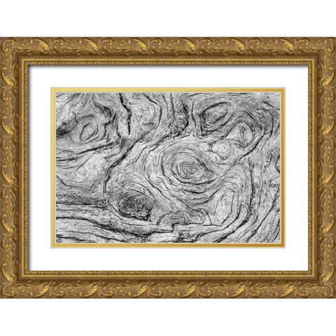 Geometric pattern in eroded driftwood-Bandon Beach-Oregon Gold Ornate Wood Framed Art Print with Double Matting by Jones, Adam