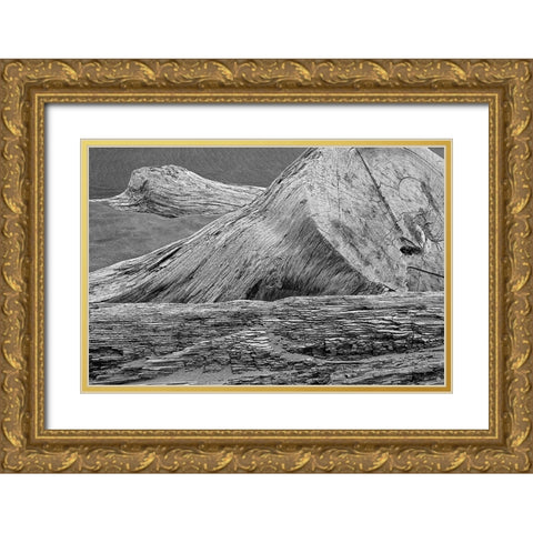 Eroded driftwood on beach-Bandon Beach-Oregon Gold Ornate Wood Framed Art Print with Double Matting by Jones, Adam