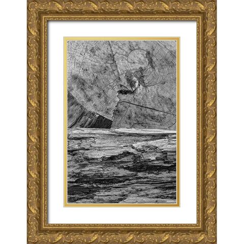 Geometric pattern in eroded driftwood-Bandon Beach-Oregon Gold Ornate Wood Framed Art Print with Double Matting by Jones, Adam