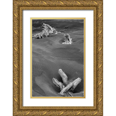 Eroded driftwood on beach-Bandon Beach-Oregon Gold Ornate Wood Framed Art Print with Double Matting by Jones, Adam