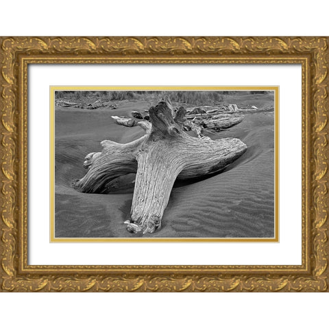 Geometric pattern in eroded driftwood-Bandon Beach-Oregon Gold Ornate Wood Framed Art Print with Double Matting by Jones, Adam
