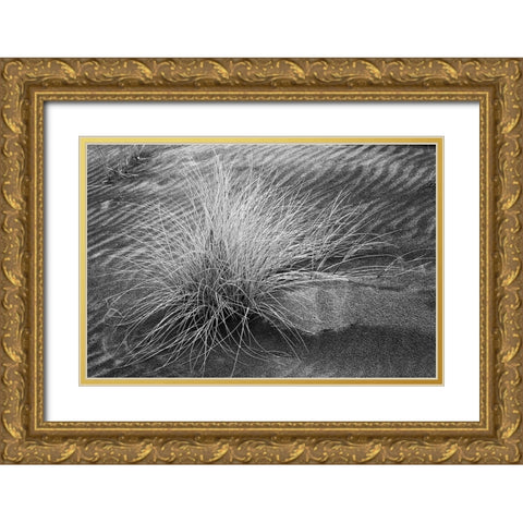 Grass pattern-Bandon-Oregon Gold Ornate Wood Framed Art Print with Double Matting by Jones, Adam