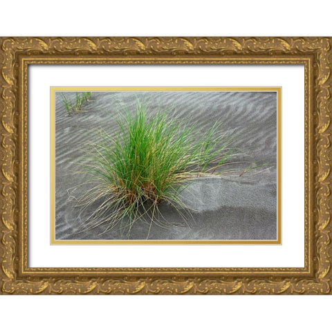 Grass pattern-Bandon-Oregon Gold Ornate Wood Framed Art Print with Double Matting by Jones, Adam