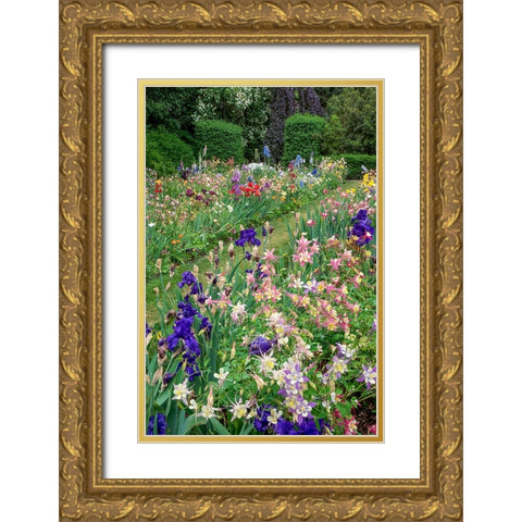 Columbine and Iris garden-Schreiner Iris Gardens-Salem-Oregon Gold Ornate Wood Framed Art Print with Double Matting by Jones, Adam