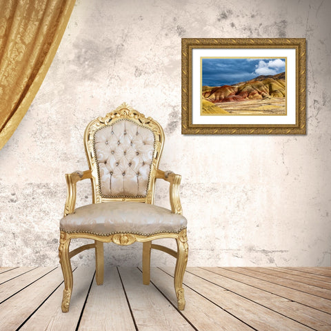 USA-John Day Fossil Beds-Painted Hills Unit Overlook Gold Ornate Wood Framed Art Print with Double Matting by Friel, Bernard