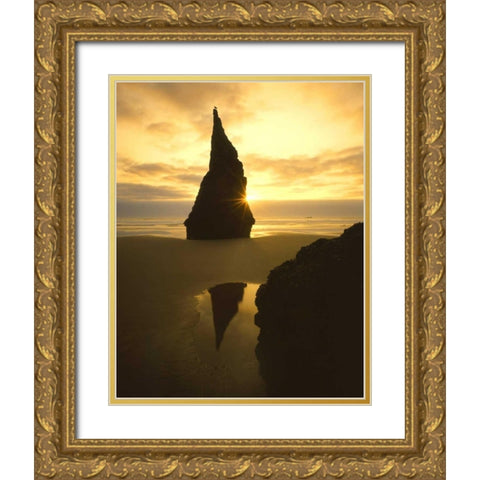 OR, Bandon Beach, Sunset silhouettes seabird Gold Ornate Wood Framed Art Print with Double Matting by Terrill, Steve