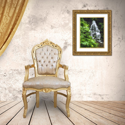 OR, Columbia Gorge, Fairy Falls cascading Gold Ornate Wood Framed Art Print with Double Matting by Terrill, Steve