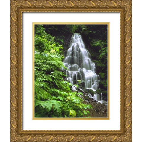 OR, Columbia Gorge, Fairy Falls cascading Gold Ornate Wood Framed Art Print with Double Matting by Terrill, Steve