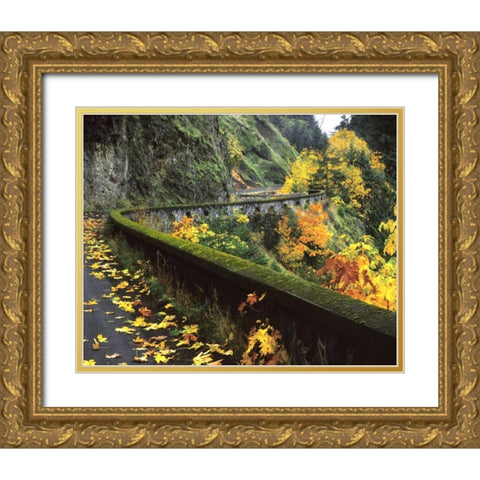 OR, Columbia Gorge, Columbia River Highway Gold Ornate Wood Framed Art Print with Double Matting by Terrill, Steve