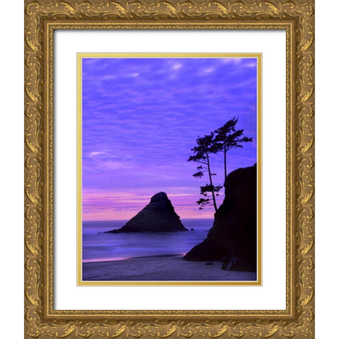 OR, Devils Elbow SP, Sunset over rock formations Gold Ornate Wood Framed Art Print with Double Matting by Terrill, Steve