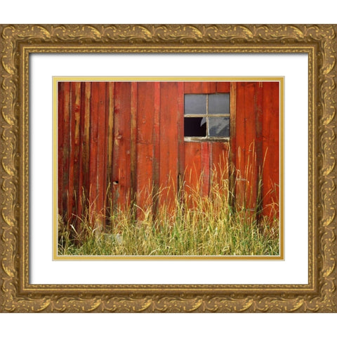 OR, Joseph, Grasses contrast with broken window Gold Ornate Wood Framed Art Print with Double Matting by Terrill, Steve
