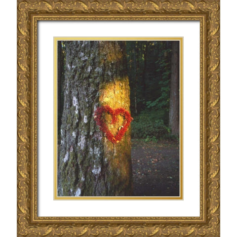 OR, Mt Hood NF, Heart wreath on Douglas-fir Gold Ornate Wood Framed Art Print with Double Matting by Terrill, Steve