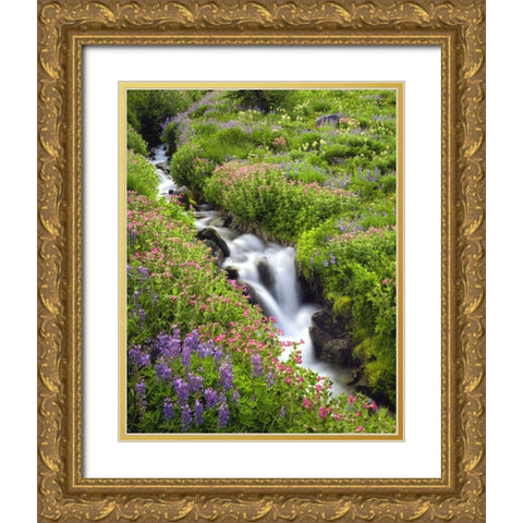 OR, Elk Cove Creek flowing through meadow flowers Gold Ornate Wood Framed Art Print with Double Matting by Terrill, Steve