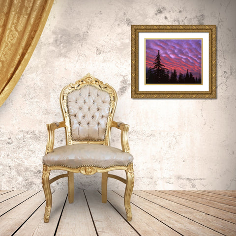 OR, Three Sisters, sunset clouds over forest Gold Ornate Wood Framed Art Print with Double Matting by Terrill, Steve