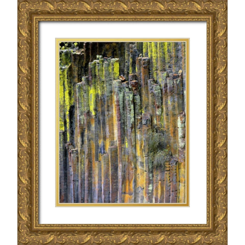 OR, Umpqua NF, Lichen-covered basalt formation Gold Ornate Wood Framed Art Print with Double Matting by Terrill, Steve