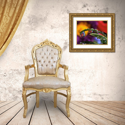 OR, Abstract of purple chrysanthemum Gold Ornate Wood Framed Art Print with Double Matting by Terrill, Steve