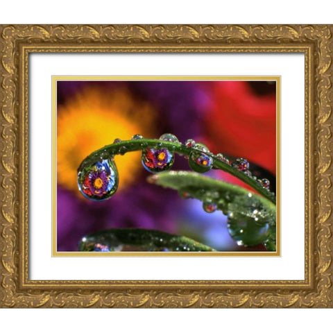 OR, Abstract of purple chrysanthemum Gold Ornate Wood Framed Art Print with Double Matting by Terrill, Steve