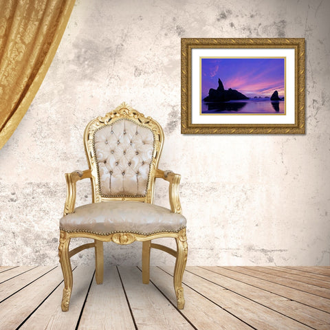 OR, Bandon Beach Silhouette of sea stacks Gold Ornate Wood Framed Art Print with Double Matting by Illg, Cathy and Gordon