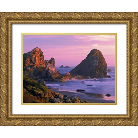 OR, Harris State Beach Sea stacks at sunset Gold Ornate Wood Framed Art Print with Double Matting by Welling, Dave