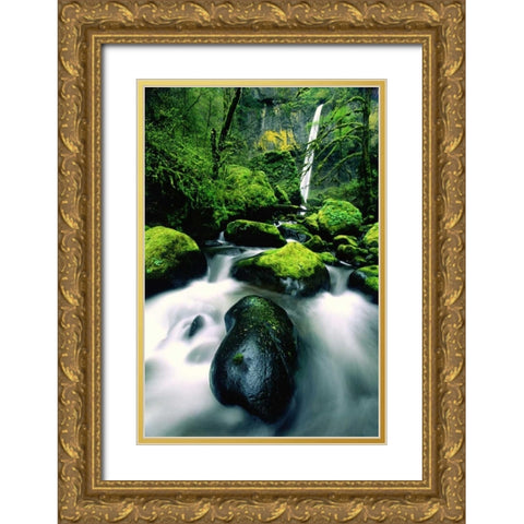 OR, Columbia Gorge Elowah Falls and boulders Gold Ornate Wood Framed Art Print with Double Matting by Welling, Dave