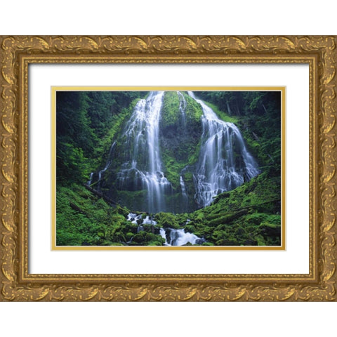 Oregon, Willamette NF The Lower Proxy Falls Gold Ornate Wood Framed Art Print with Double Matting by Satushek, Steve