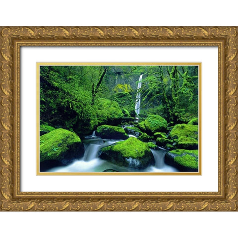 OR, Columbia Gorge Elowah Falls and boulders Gold Ornate Wood Framed Art Print with Double Matting by Welling, Dave