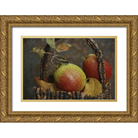OR, Hood River Fresh-picked Forelle pears Gold Ornate Wood Framed Art Print with Double Matting by Terrill, Steve
