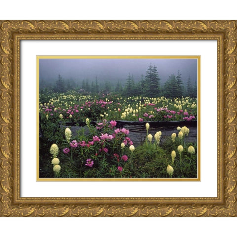 OR Meadow of rhododendrons and bear grass Gold Ornate Wood Framed Art Print with Double Matting by Terrill, Steve