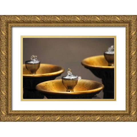 OR, Portland Benson Bubblers in downtown Gold Ornate Wood Framed Art Print with Double Matting by Terrill, Steve