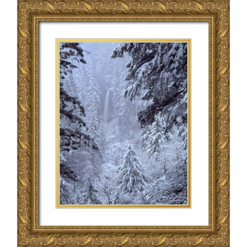 Oregon, Silver Falls North Falls in winter snow Gold Ornate Wood Framed Art Print with Double Matting by Terrill, Steve